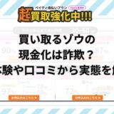 買い取るゾウの現金化は詐欺？実体験や口コミから実態を解明